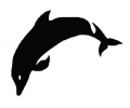  Dieren (8 x 10 cm) tattoo voorbeeld Dolfijn